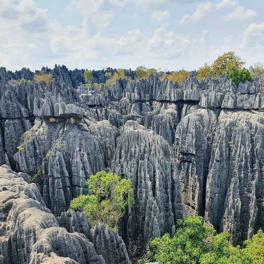 Tsingy de Bemaraha