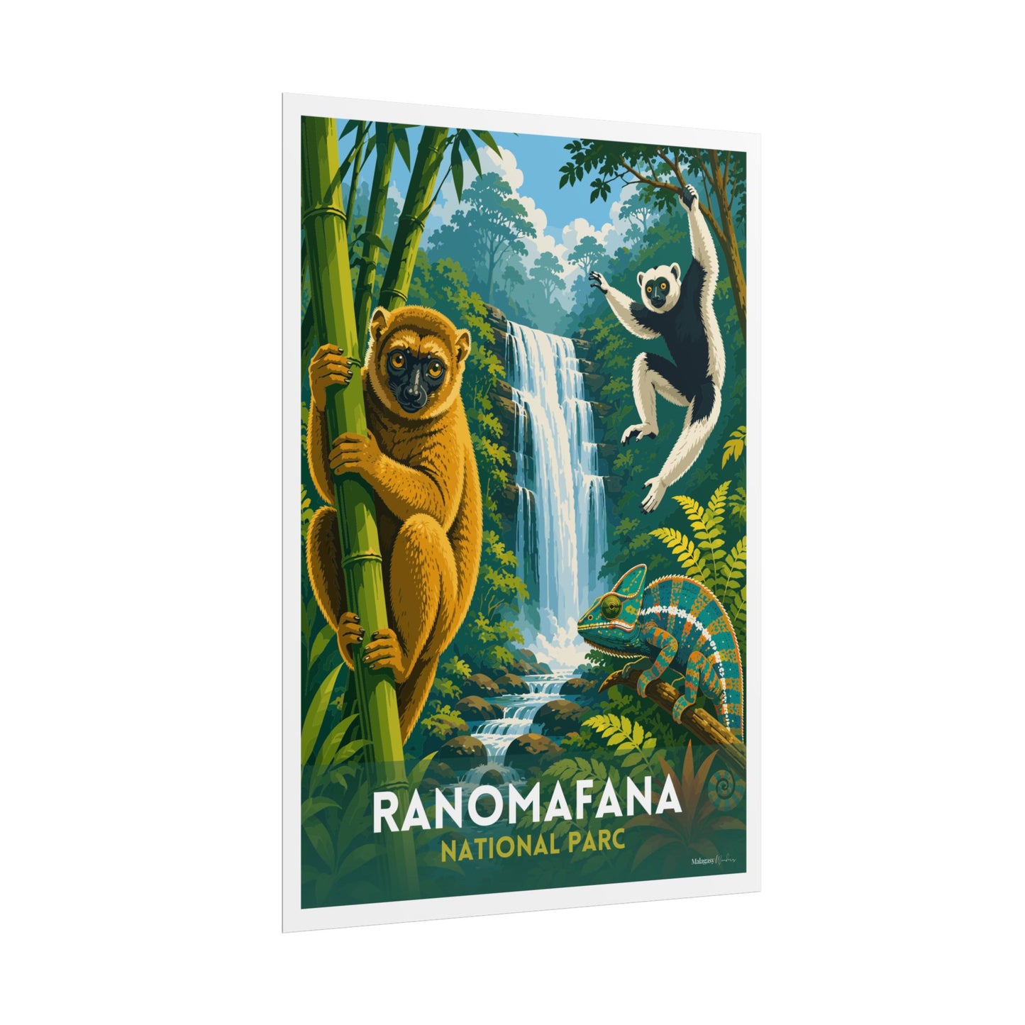 Ranomafana National Park